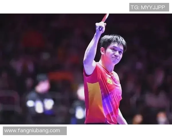 北京乒乓球队选拔赛背后的奋斗故事与荣耀时刻