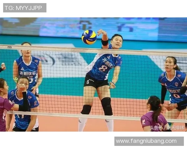 上海排球队在全国锦标赛中的耐力表现分析与总结