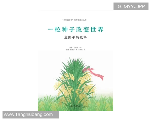 世界足球明星的另一半揭秘她们的魅力与故事让人心动不已