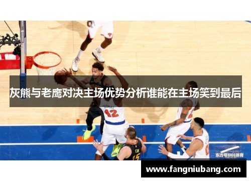 灰熊与老鹰对决主场优势分析谁能在主场笑到最后